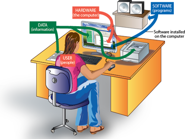 Components of a computer system