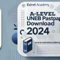 uace uneb past papers 2024